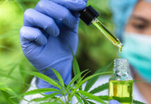 Thaise FDA versnelt invoering Cannabis Act, cannabis "sandboxen" voorgesteld voor recreatief gebruik