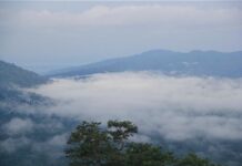 Thailand zal deze week koudere omstandigheden ervaren in het noorden en meer onweersbuien in het zuiden, meldt de Thaise Meteorologische Afdeling