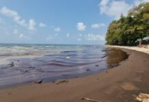 Mae Ramphueng Beach in Rayong tijdelijk gesloten vanwege olieramp