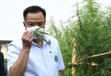 Thailand's Cannabis Act Draft voorgesteld aan het Huis van Afgevaardigden voor goedkeuring van de wet vandaag