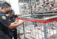 Chonburi, Songkhla en de Thaise regering nemen verdere maatregelen om de stijgende varkensvleesprijzen te bestrijden