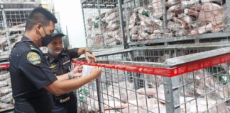 Chonburi, Songkhla en de Thaise regering nemen verdere maatregelen om de stijgende varkensvleesprijzen te bestrijden