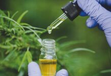 Meer dan 5,000 Thaise onderzoekers dienen een officieel document in bij de Thaise regering om hun steun te betuigen aan het aannemen van een wetsontwerp voor cannabis