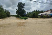 Veertien provincies in het zuiden van Thailand lijden onder overstromingen, terwijl in het noorden koel weer aanhoudt